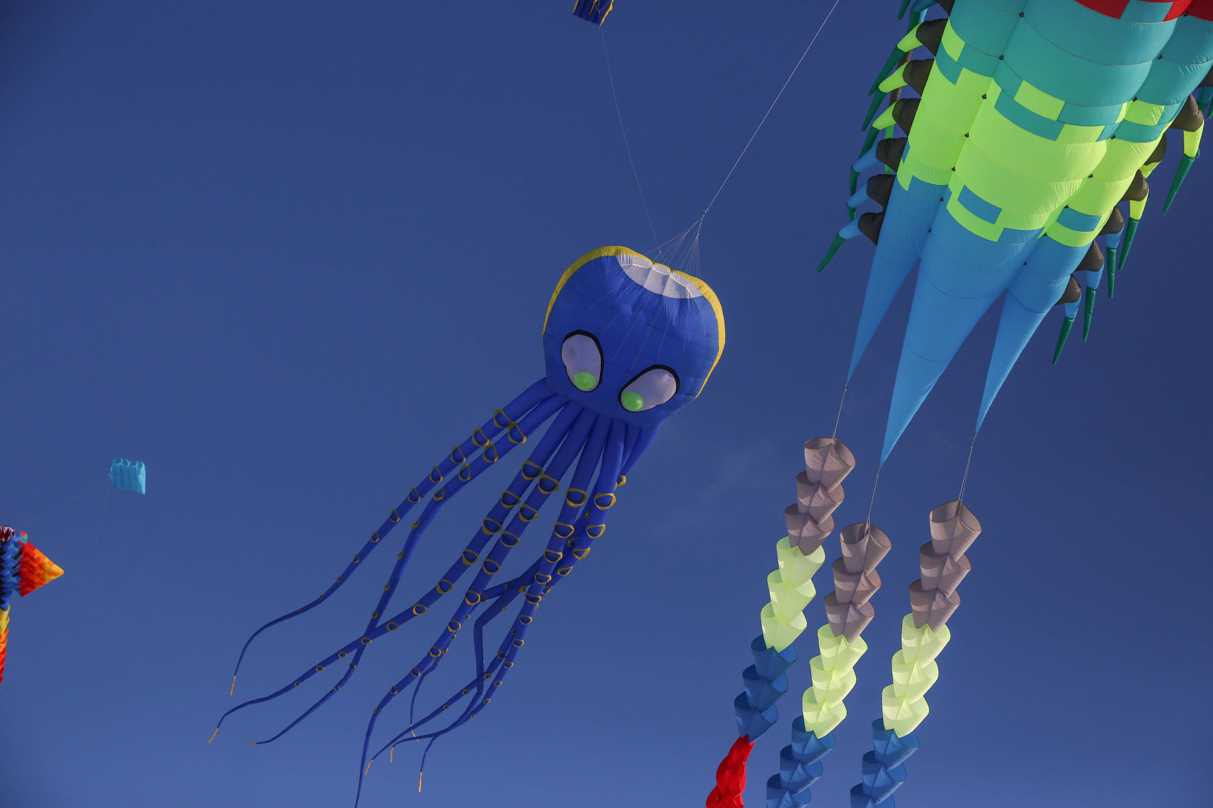 Color the Wind kite festival 02-15-2020 (84).jpg